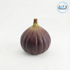 fruit 3D model