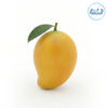 Premium Mango 3D Models