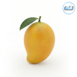 Premium Mango 3D Models