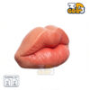 Woman lip 3d print model