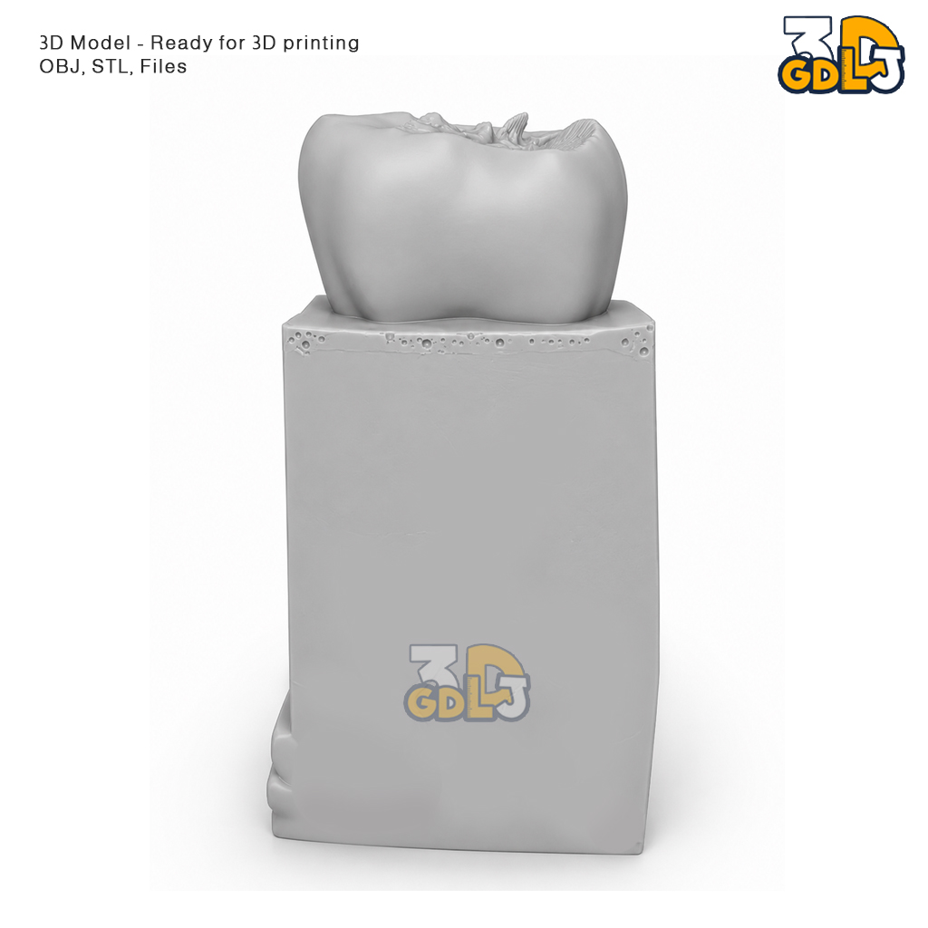 Anatomical Tooth 3D Model - Image 2