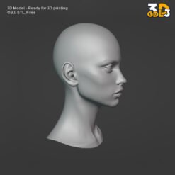 Female Head 3D Model - Image 5