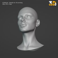 Female Head 3D Model - Image 3