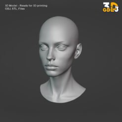 Female Head 3D Model – Female Sculpted Head Base Mesh