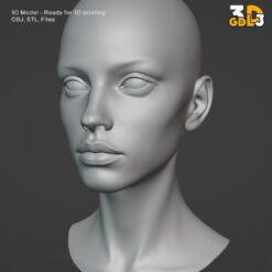 Alternative view of Female Head 3D Model