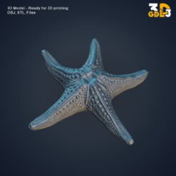 Realistic Starfish 3D Model – High-Detail Sea Star for 3D Printing - Image 5