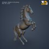 Rearing Horse 3D Model