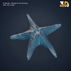 Realistic Starfish 3D Model – High-Detail Sea Star for 3D Printing